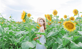 小乖麻2025年11月十二星座运势