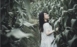 巨蟹座玻璃心，接受不了被别人无视