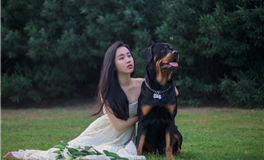 占星妖妖十二星座每日运势（2025-11-22）