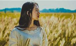 郑博士每日生肖运势2025年11月20日