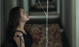 闹闹丁亥月（11.7-12.6）12生肖运势