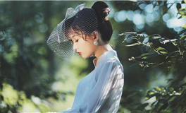 苏民峰：属猴人2025年11月运势/丁亥月运势（11.7-12.6）