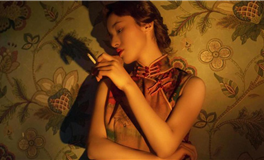 郑博士每日生肖运势2025年11月7日