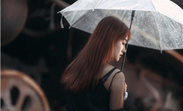 2026年，属牛的朋友如何迎好运