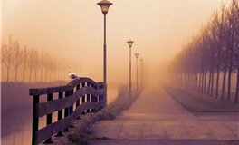 五行生克理论中“比劫”的运用解析