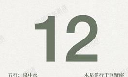 闹闹女巫店今日运势2025年11月12日