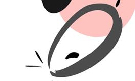 2019年属猪人2026年全年运势运程，19年属猪人2026年每月运势详解