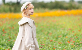 1966年属马2026年运势及运程详解  66年属马人2026年马年每月运程