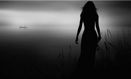 1995年属猪2026年运势及运程详解  95年属猪人2026年马年每月运程