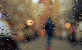 1981年属鸡2026年运势及运程详解  81年属鸡人2026年马年每月运程