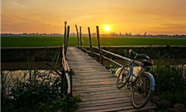 2025年水星逆行预警：十二星座必读的应对指南！