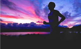 艾菲尔十二星座2026年1月运势