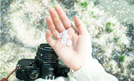 星座日运 2025年12月15日 星期一 农历十月廿六