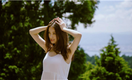 D.H.APP2026年十二生肖运势