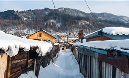 大雪，岁末雪飘，寒冬深处雪意浓