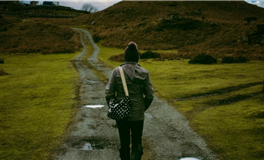 2026随身钱包：色彩选择助力旺运