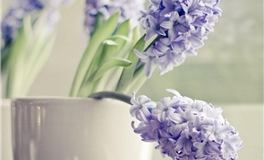 独立自主，兑现承诺的三大星座