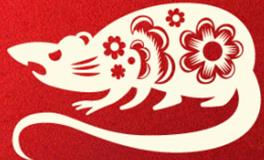 董易林生肖鼠2026年1月运势