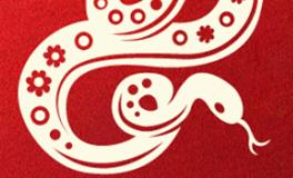 董易林生肖蛇2026年1月运势