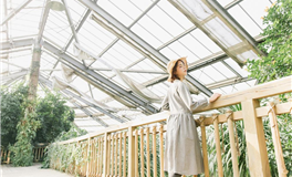 水玲师傅：今日五行能量/五行运势2026年1月28日