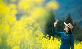 张鑫龙每日通盛+生肖运势 2026年1月31日