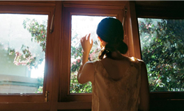 海百合十二星座本周运势（1.12-1.18）