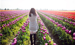 李云天每日生肖运势2026年1月19日小运播报