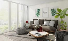 巧妙布局招财树，财源滚滚来