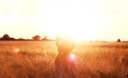 水玲师傅：今日五行能量/五行运势2026年2月1日