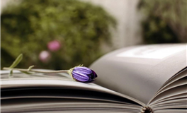 水玲师傅周运（1.12-1.18）十天干每日运势