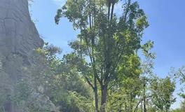 从苦到甜：哪些人能在晚年享受幸福生活