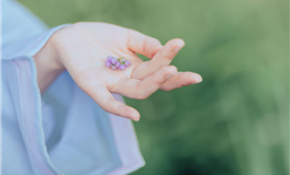 董易姗每日生肖运势2026年2月4日