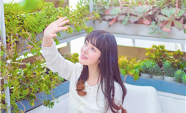 郑博士每日生肖运势2026年2月11日