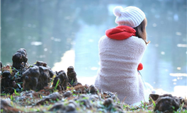 阿妙占星每日星座运势2026年2月11日