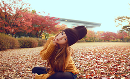 秦阳明每日生肖运势2026年2月19日