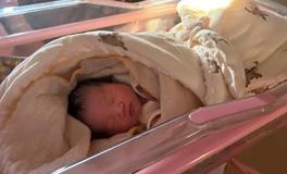 2026年新生宝宝取名指南（上）