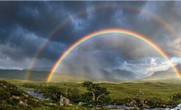 第一眼直觉测验：一眼看穿你的情绪性格底色！