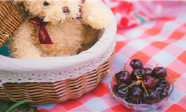 双鱼座可以说是比较懂浪漫的