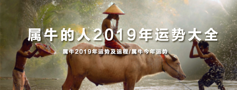 属牛的人2019年运势大全